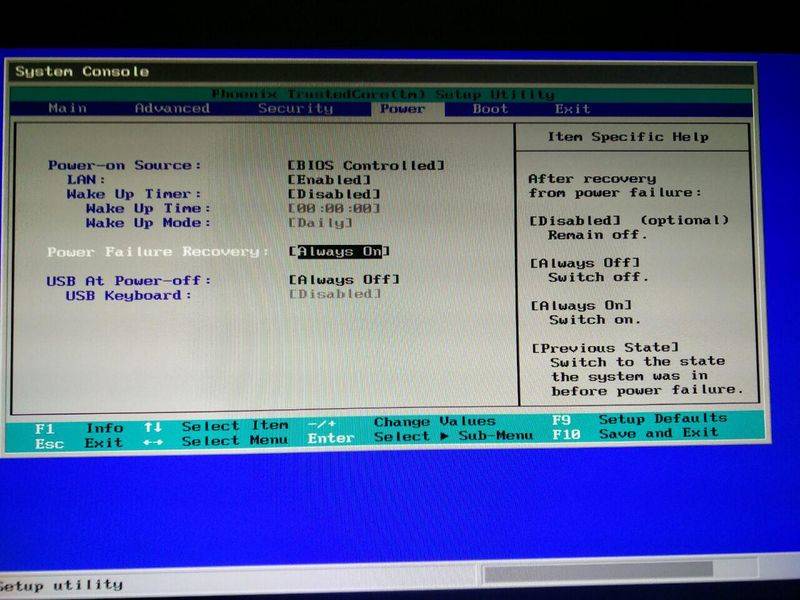 futro_bios_ii.jpg futro_bios_ii.jpg